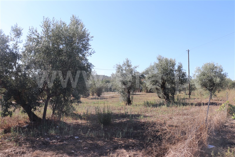 Moradia T2 Abrantes, Tramagal - 1510409 - 1