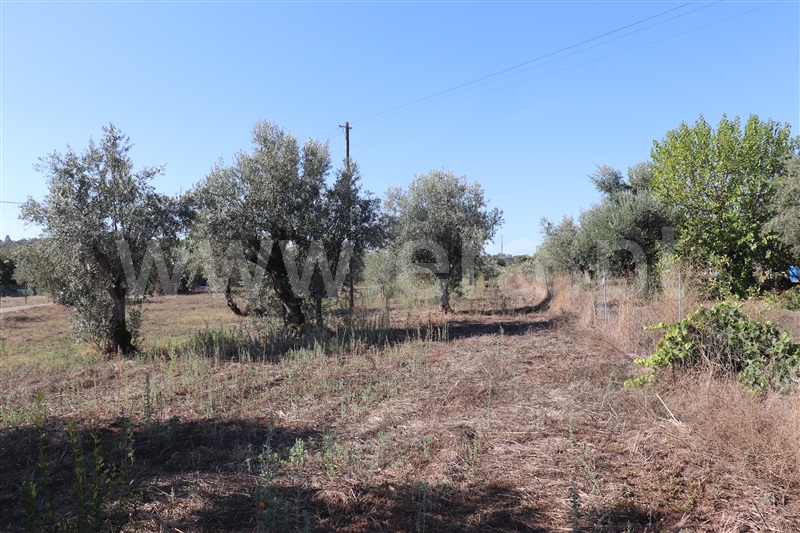 Moradia T2 Abrantes, Tramagal - 1510409 - 3