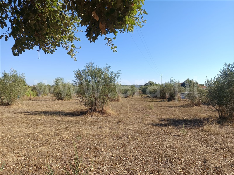 Moradia T2 Abrantes, Tramagal - 1510409 - 10