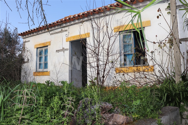 Moradia T2 Abrantes, Vale das Mós - 1352793 - 12
