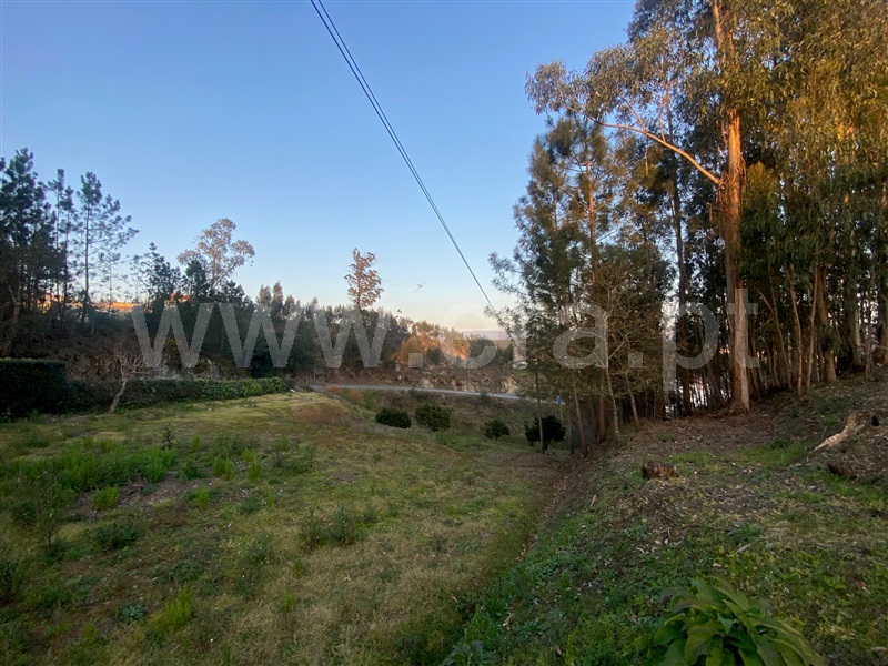 Moradia T2 à venda em Macinhata do Vouga, Águeda — foto 4