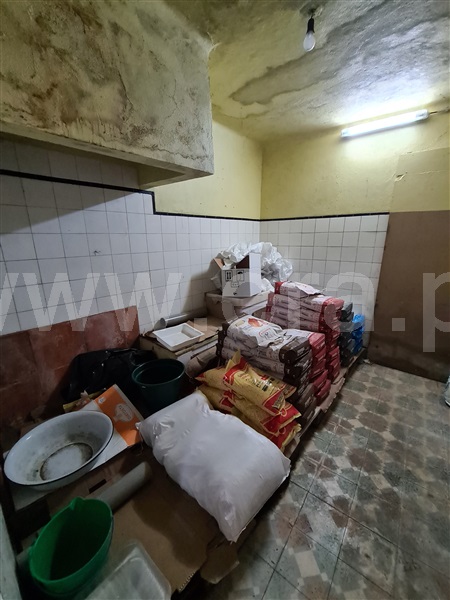 Moradia T2 Albergaria-a-Velha, Loure - 1024469 - 8