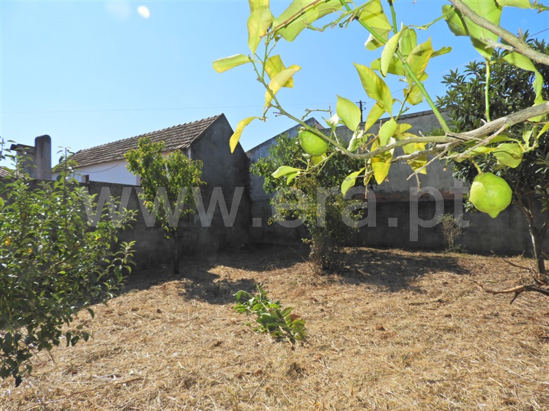 Moradia T2 Alcanena, Malhou - 1430893 - 6