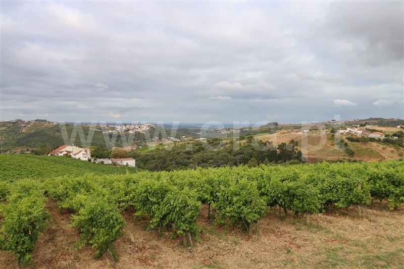 Moradia T2 Alenquer, Carregado e Cadafais - 1481946 - 13