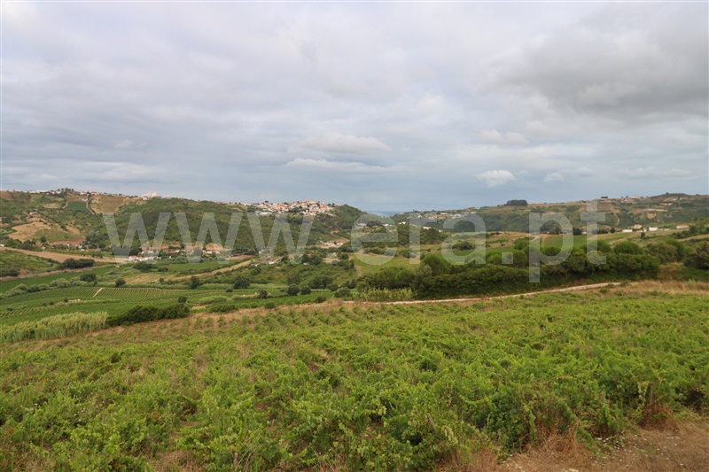 Moradia T2 Alenquer, Carregado e Cadafais - 1481946 - 14