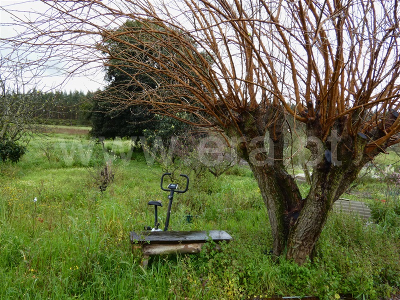 Moradia T2 Almeirim, Fazendas de Almeirim - 1467127 - 14