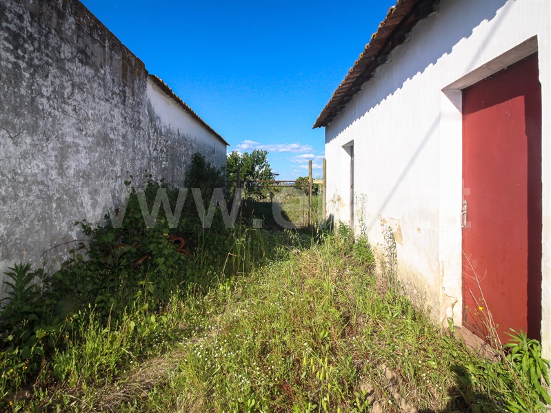 Moradia T2 Alpiarça - 1169210 - 4