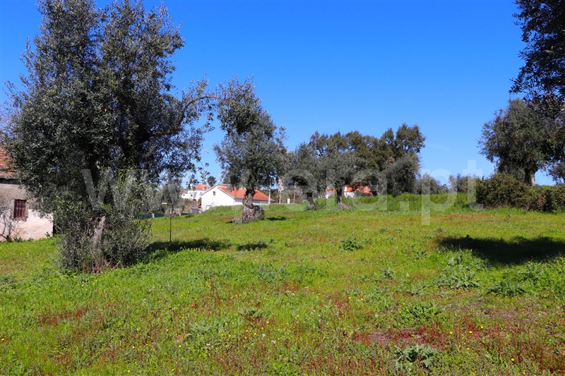 Moradia T2 Alvaiázere, Pelmá - 1156197 - 16