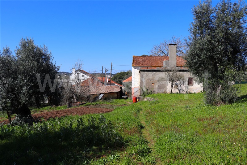 Moradia T2 Alvaiázere, Pelmá - 1156197 - 15