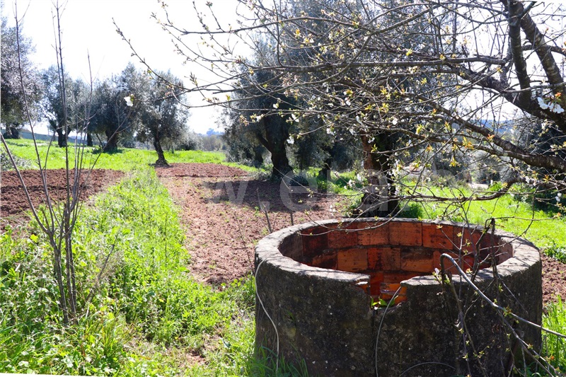 Moradia T2 Alvaiázere, Pelmá - 1156197 - 13