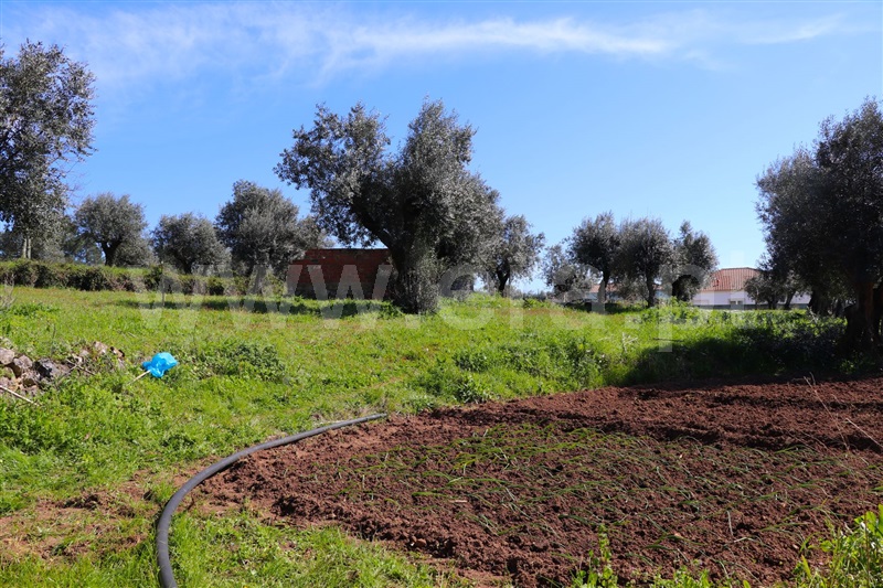 Moradia T2 Alvaiázere, Pelmá - 1156197 - 14