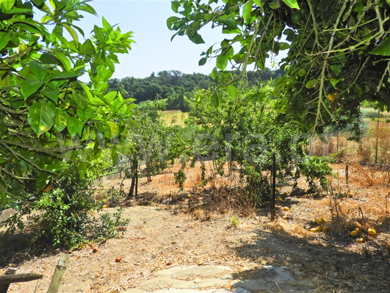 Moradia T2 Azambuja, Manique do Intendente, Vila Nova de São Pedro e Maçussa - 1492303 - 7