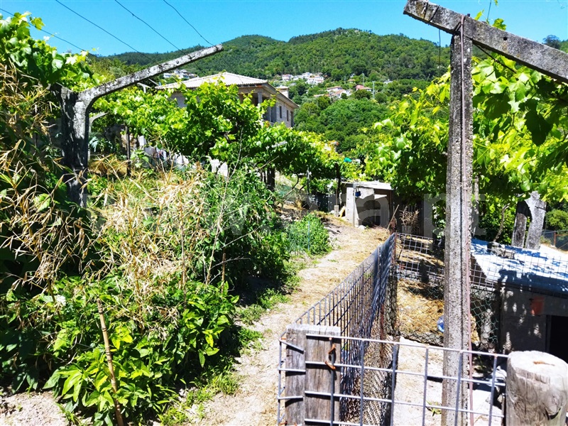 Moradia T2 Baião, Gove - 1258884 - 7