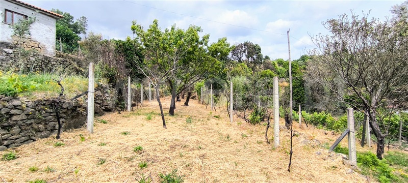 Moradia T2 Baião, Ancede e Ribadouro - 1490845 - 20