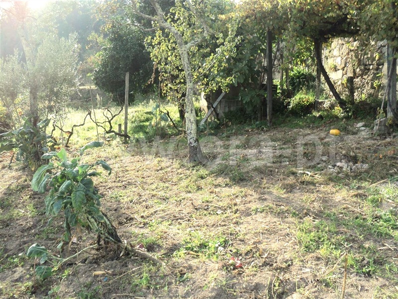 Moradia T2 Baião, Valadares - 765608 - 1