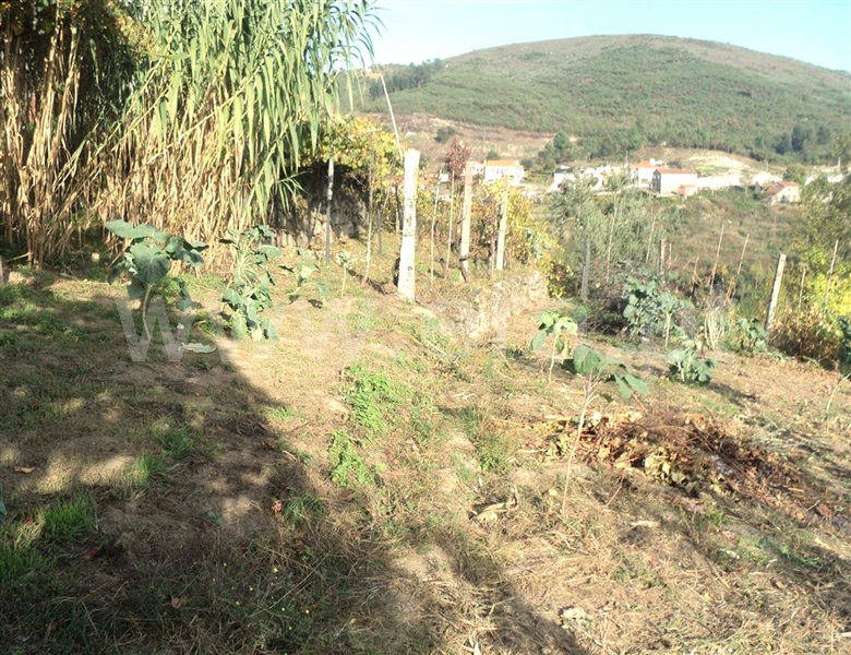 Moradia T2 Baião, Valadares - 765608 - 6