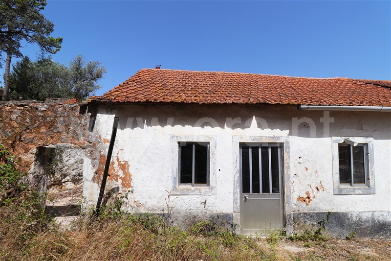 Moradia T2 Batalha, São Mamede - 1348004 - 17