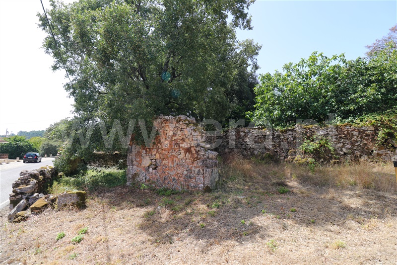 Moradia T2 Batalha, São Mamede - 1348004 - 19