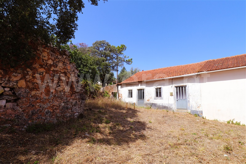 Moradia T2 Batalha, São Mamede - 1348004 - 20