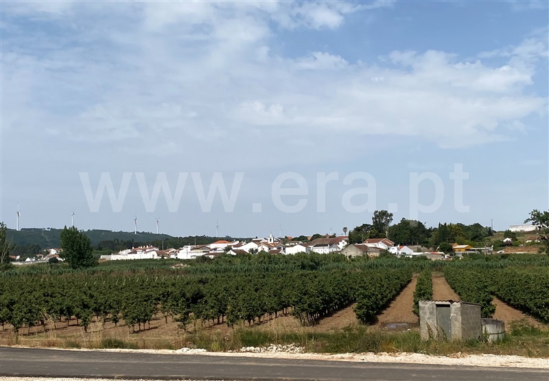 Moradia T2 Bombarral, Roliça - 1490270 - 19