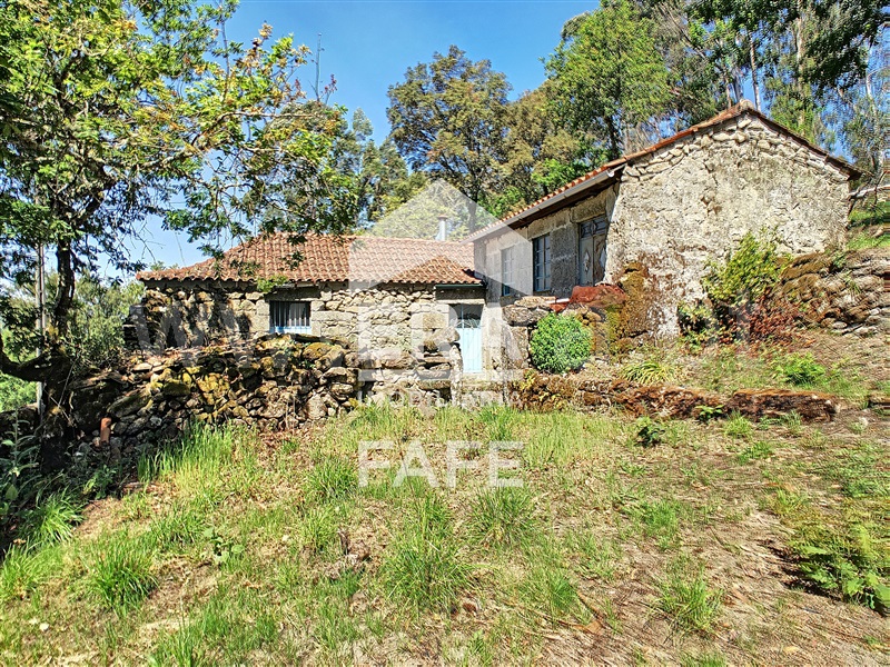 Moradia T2 / Cabeceiras de Basto, Bucos