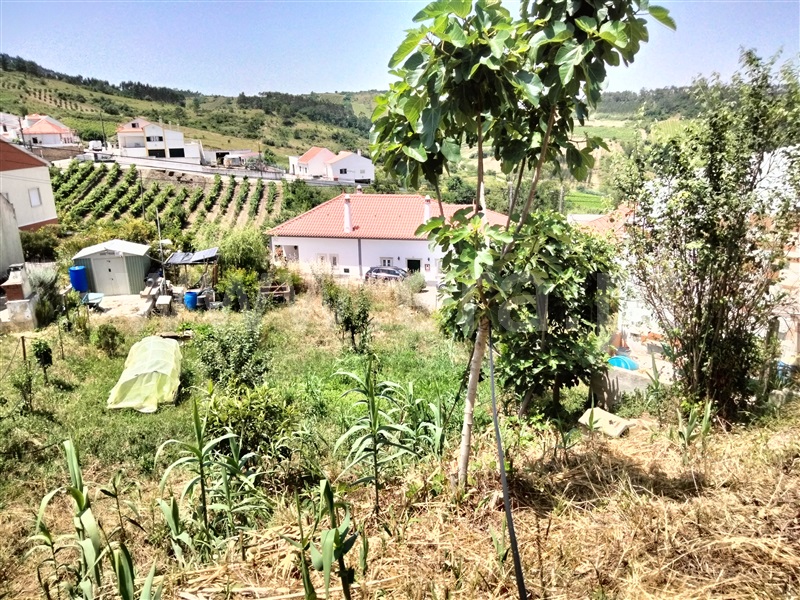 Moradia Isolada T2 Cadaval, Avenal - 1478549 - 2