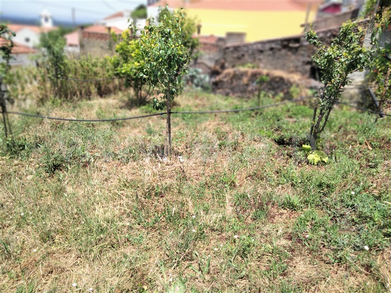 Moradia Isolada T2 Cadaval, Avenal - 1478549 - 8