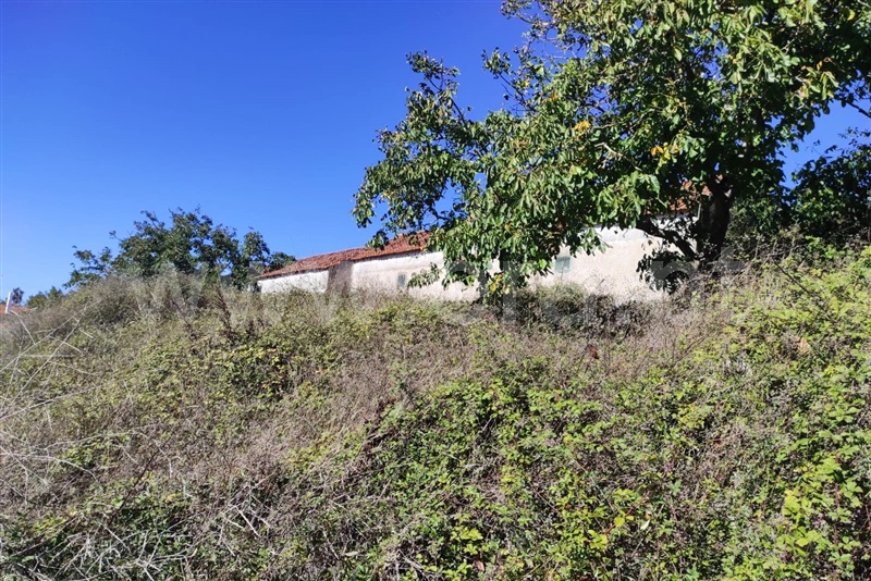 Terreno com ruina  Caldas da Rainha, Alvorninha - 1507729 - 5