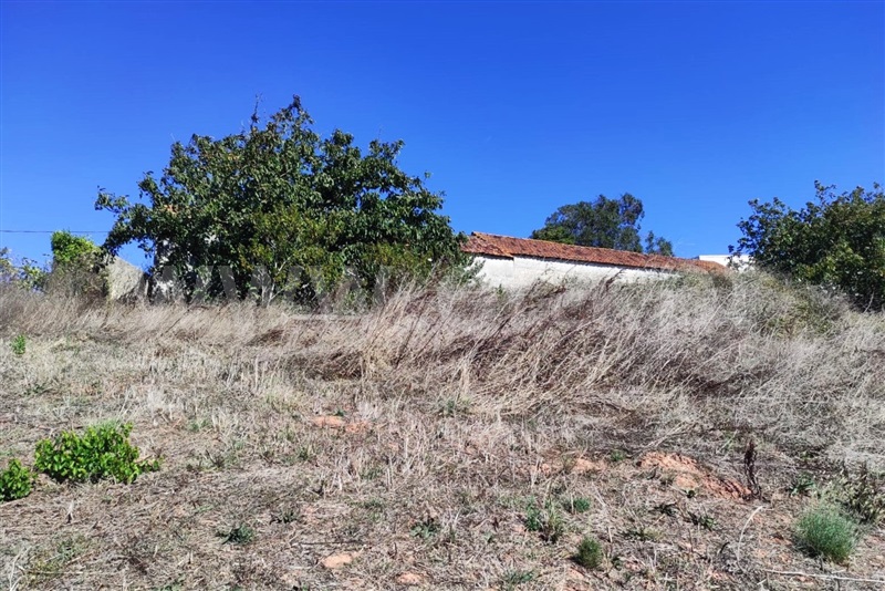 Terreno com ruina  Caldas da Rainha, Alvorninha - 1507729 - 6