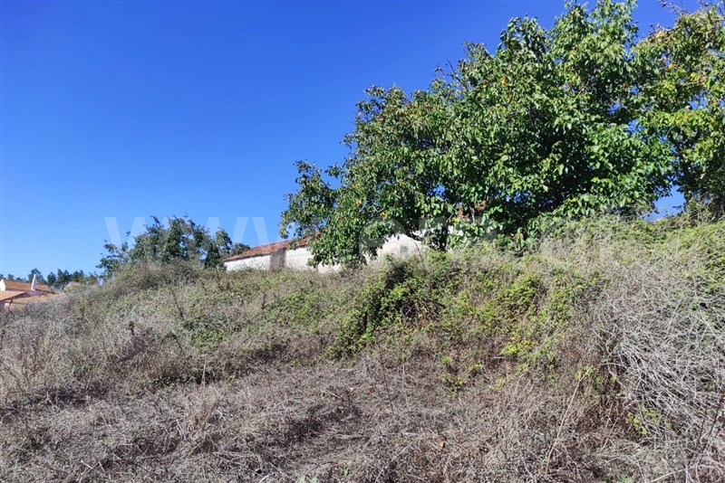Terreno com ruina  Caldas da Rainha, Alvorninha - 1507729 - 7