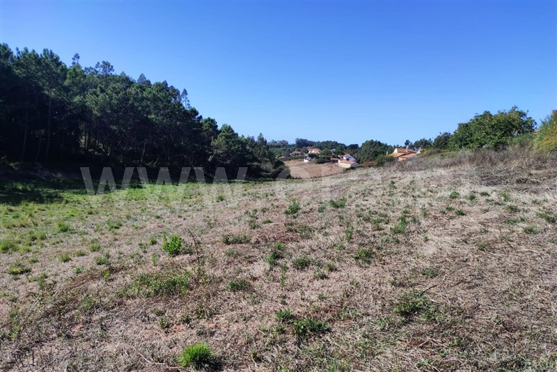 Terreno com ruina  Caldas da Rainha, Alvorninha - 1507729 - 11
