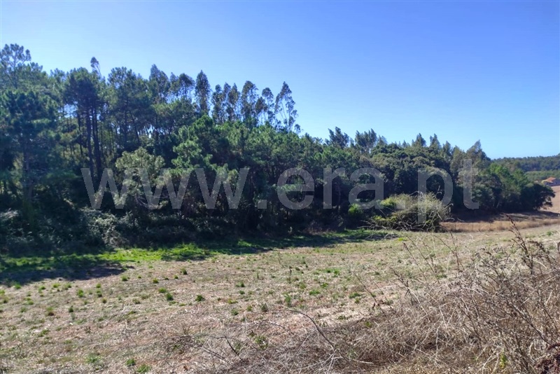 Terreno com ruina  Caldas da Rainha, Alvorninha - 1507729 - 12