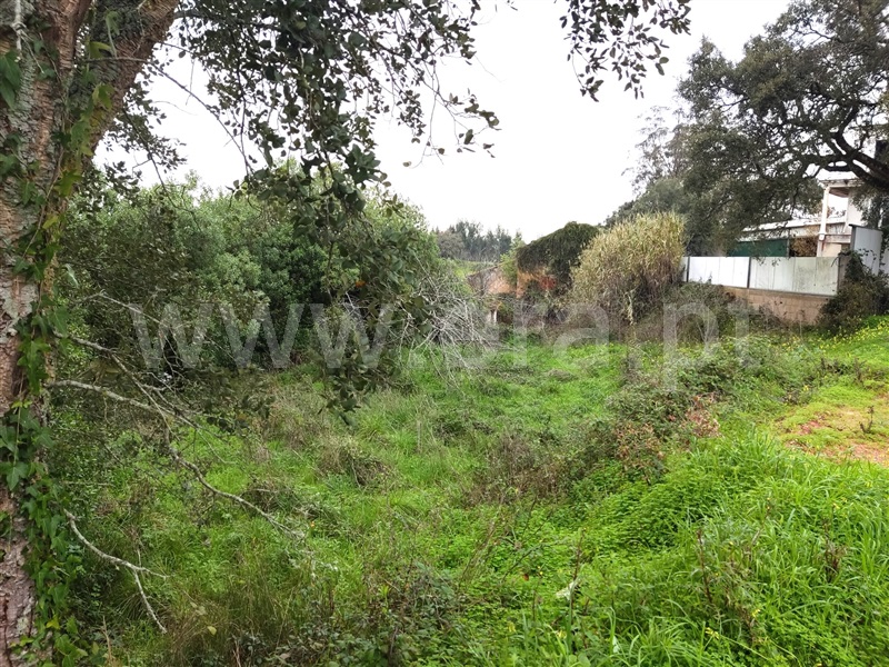 Moradia T3 Caldas da Rainha, Landal - 1380359 - 9
