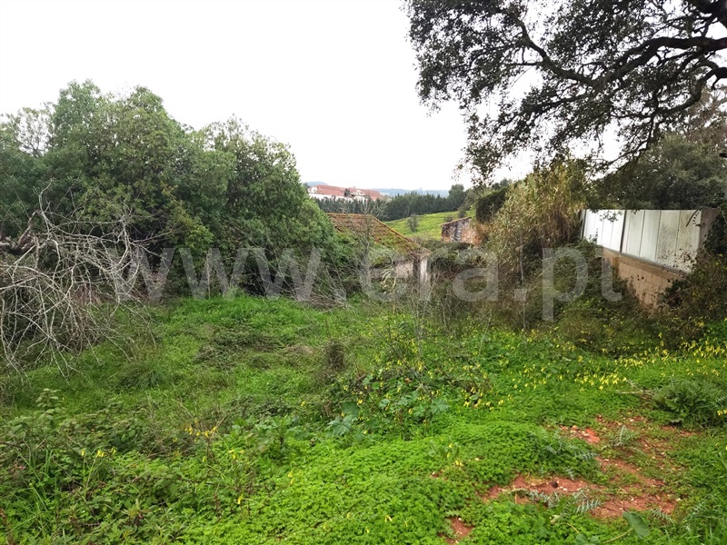 Moradia T3 Caldas da Rainha, Landal - 1380359 - 10