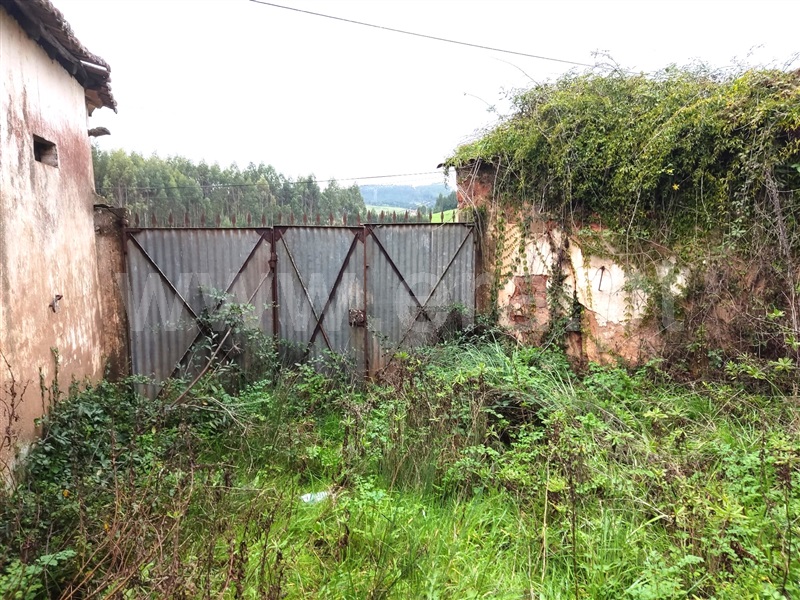 Moradia  Caldas da Rainha, Landal - 1380367 - 3