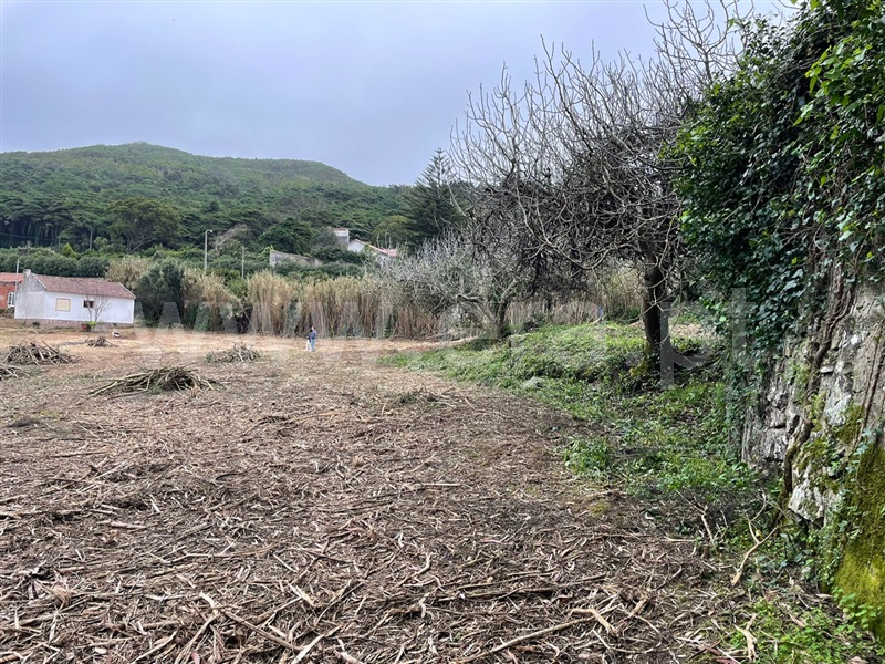 Terreno  Cascais, Alcabideche - 1313005 - 5