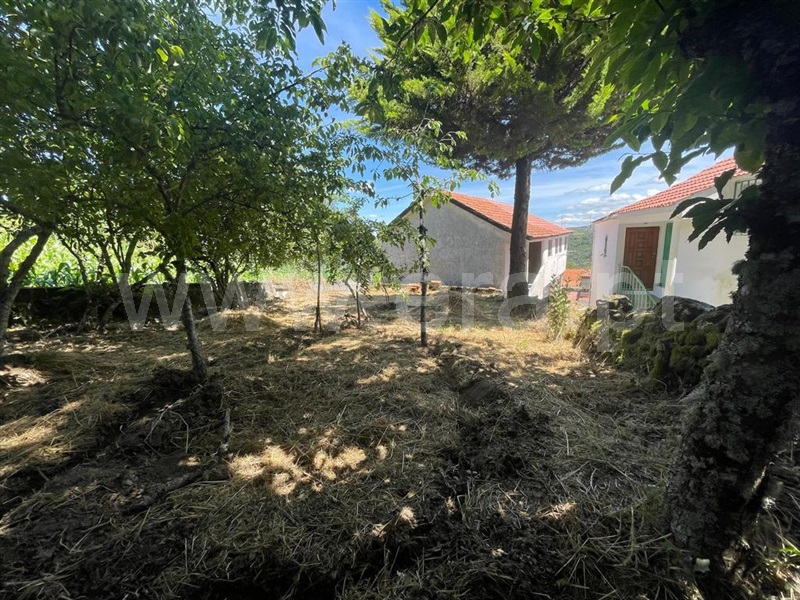 Moradia Isolada T2 Castro Daire, Gosende - 1327301 - 7