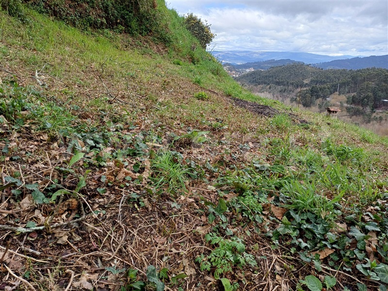 Moradia T2 Celorico de Basto, Ribas - 1471470 - 6