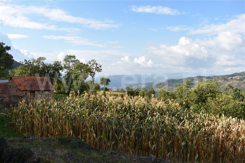 Moradia T2 Cinfães, Tendais - 1195653 - 16