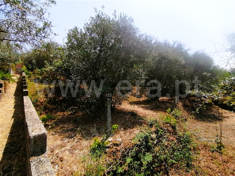 Moradia T2 Covilhã, Covilhã e Canhoso - 1441605 - 8