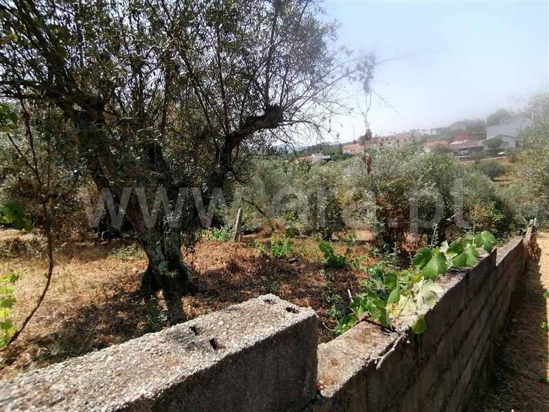 Moradia T2 Covilhã, Covilhã e Canhoso - 1441605 - 20