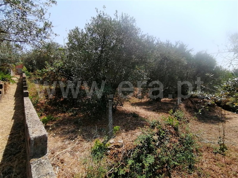 Moradia T2 Covilhã, Covilhã e Canhoso - 1441605 - 21