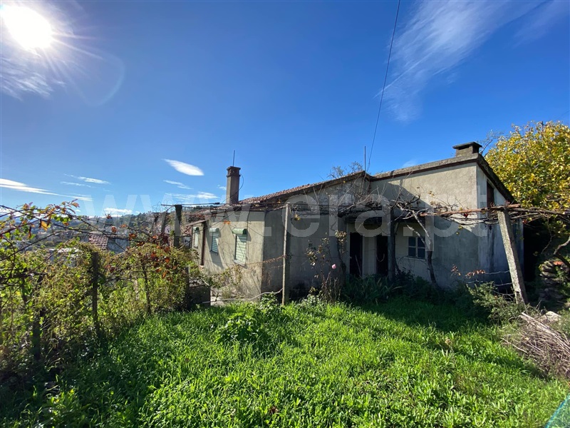 Moradia T2 / Covilhã, Cantar - Galo