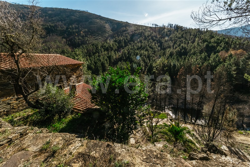 Moradia T2 com Quintal Covilhã, Serra da Estrela - 1356886 - 37