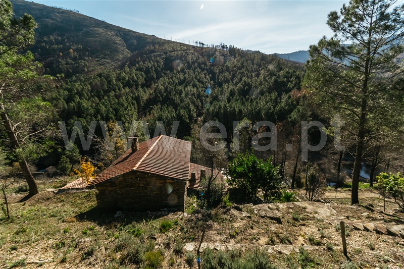 Moradia T2 com Quintal Covilhã, Serra da Estrela - 1356886 - 39