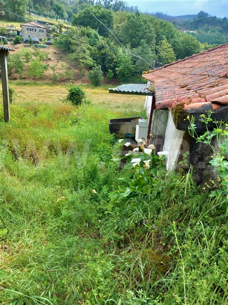 Moradia T2 Fafe, Agrela e Serafão - 1480195 - 10