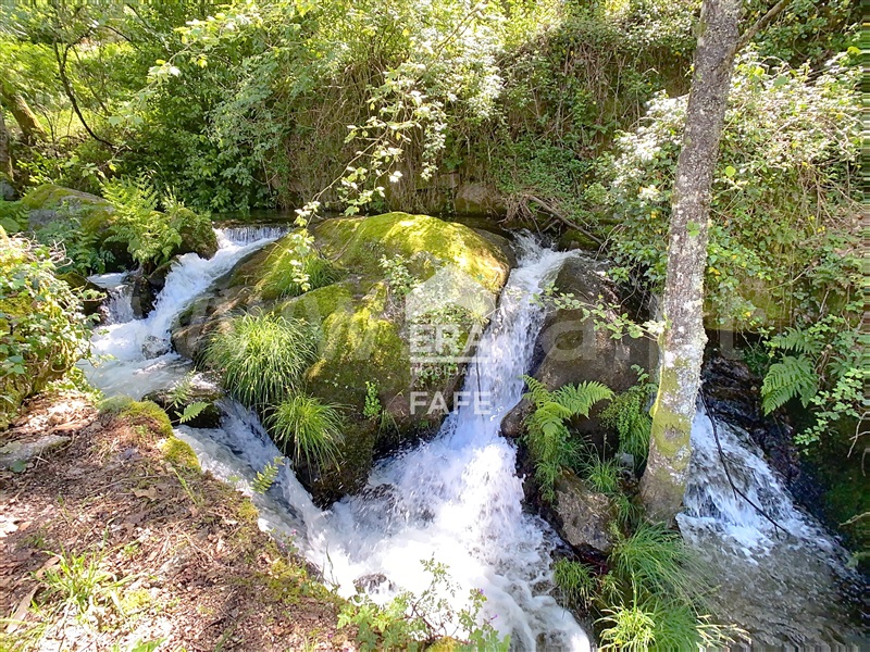 Moradia T2 Fafe, Ribeiros - 1513786 - 20