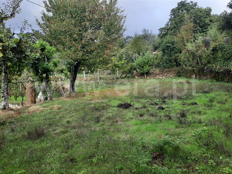 Moradia T2 Fafe, Vinhós - 1454575 - 5