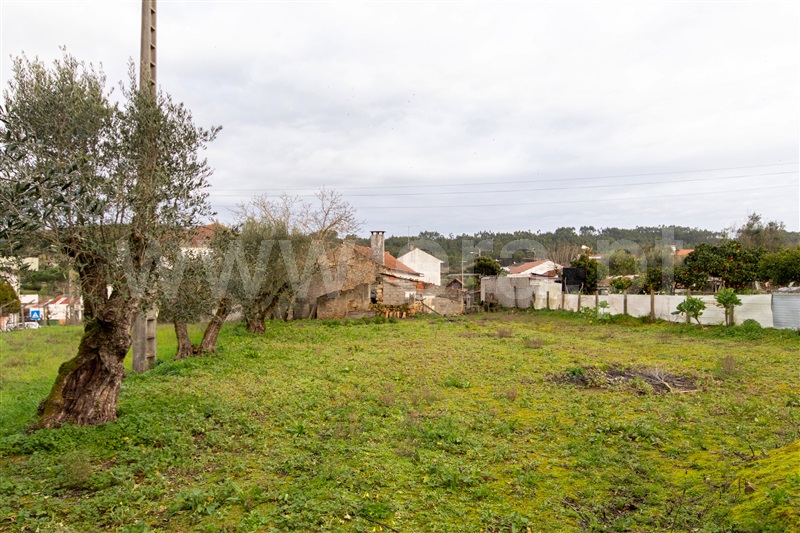 Moradia T2 Ferreira do Zêzere, Areias e Pias - 1378240 - 15