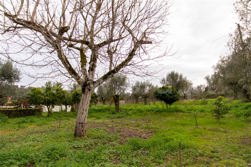 Moradia T2 Ferreira do Zêzere, Areias e Pias - 1378240 - 17
